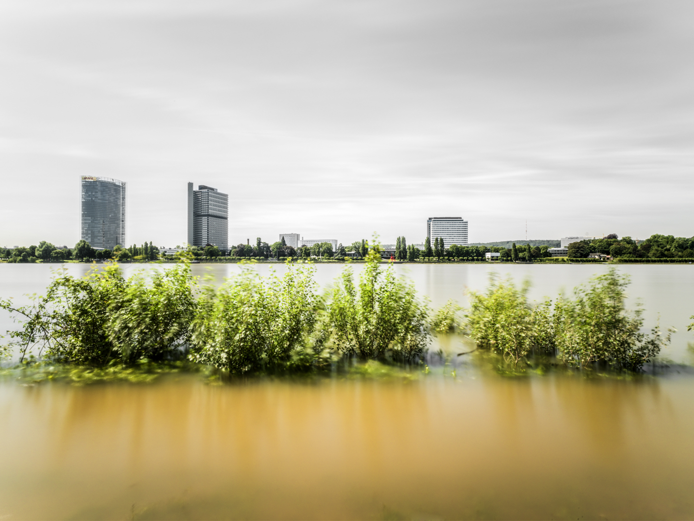 13_CD 515_36#652,6_web